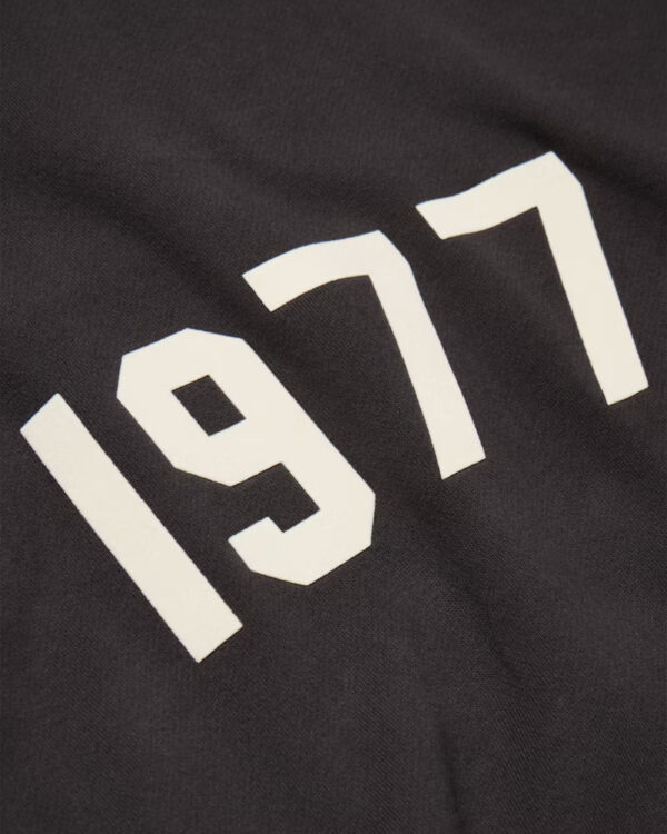 Fear of God Essentials 1977 Hoodie Iron - Image 4